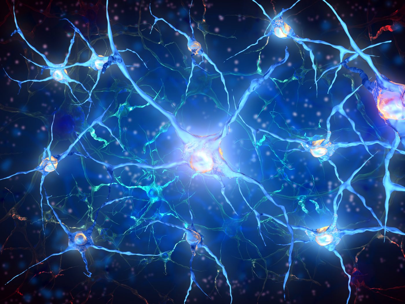 What is the treatment of Motor Neuron Diseases What is the treatment of Motor Neuron Diseases new images What is the treatment of Motor Neuron Diseases What is the treatment of Motor Neuron Diseases new pics